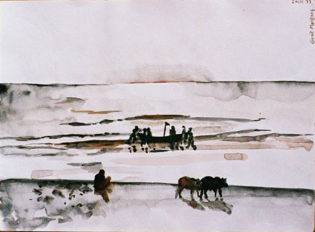 Buffles sur la plage
