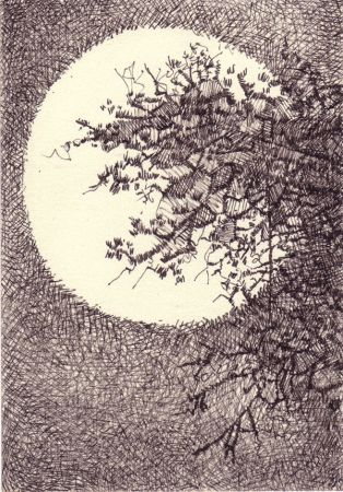 Pleine lune