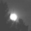 La lune dans les arbres
