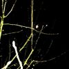 Pleine lune 3